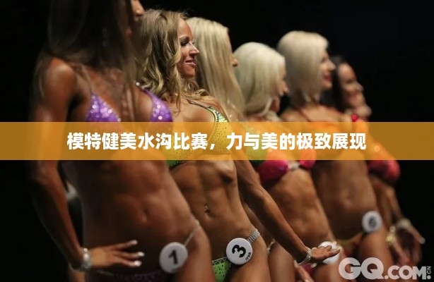 模特健美水溝比賽，力與美的極致展現
