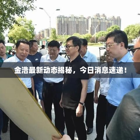 金浩最新動(dòng)態(tài)揭秘，今日消息速遞！