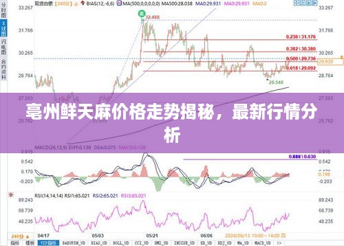 亳州鮮天麻價格走勢揭秘，最新行情分析