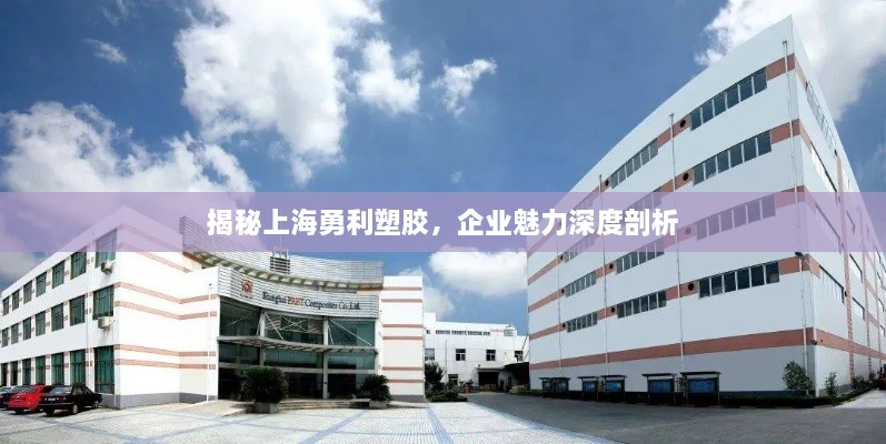 揭秘上海勇利塑膠，企業(yè)魅力深度剖析