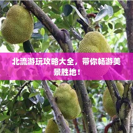 北流游玩攻略大全，帶你暢游美景勝地！