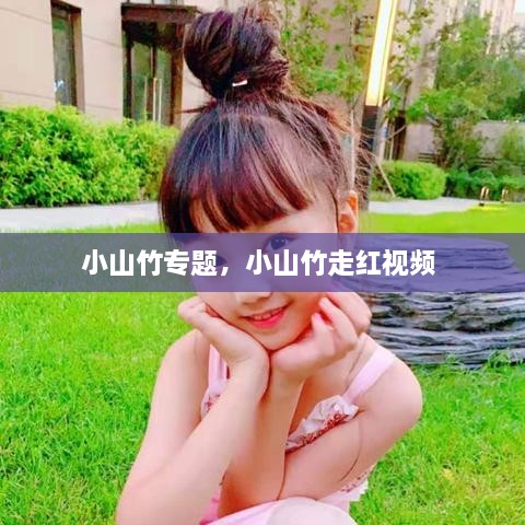 小山竹專題，小山竹走紅視頻 