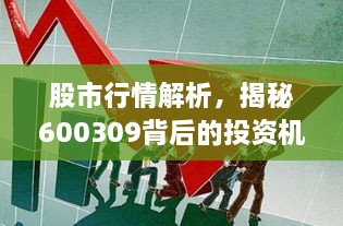 股市行情解析，揭秘600309背后的投資機(jī)會與挑戰(zhàn)