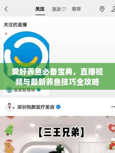 愛(ài)好養(yǎng)魚必備寶典，直播視頻與最新養(yǎng)魚技巧全攻略