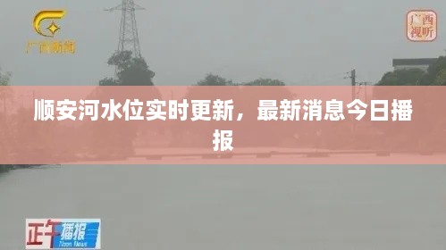順安河水位實(shí)時(shí)更新，最新消息今日播報(bào)