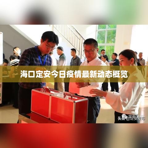 ?？诙ò步袢找咔樽钚聞?dòng)態(tài)概覽