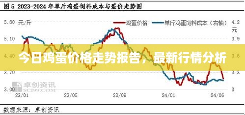 今日雞蛋價(jià)格走勢(shì)報(bào)告，最新行情分析