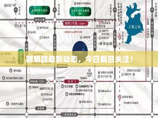 朝明路最新動態(tài)，今日矚目關注！