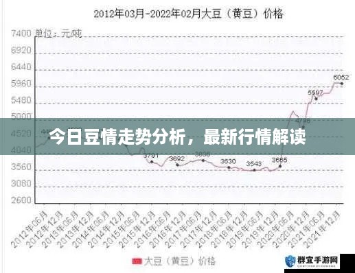 今日豆情走勢分析，最新行情解讀