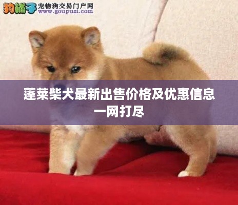 工程案例 第61頁