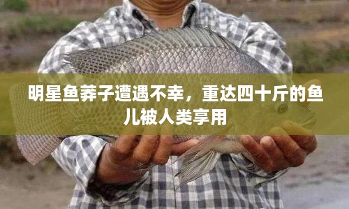 明星魚莽子遭遇不幸，重達(dá)四十斤的魚兒被人類享用