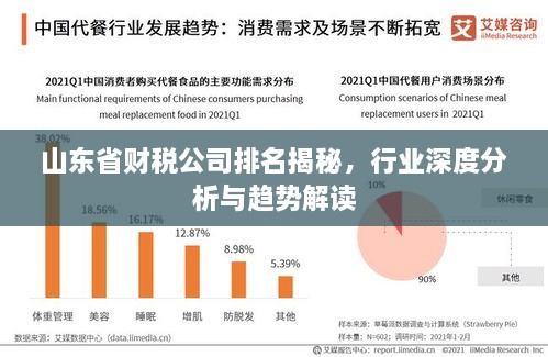 山東省財(cái)稅公司排名揭秘，行業(yè)深度分析與趨勢解讀