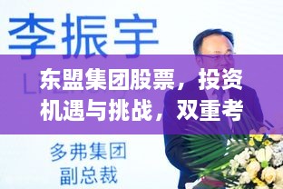 東盟集團(tuán)股票，投資機(jī)遇與挑戰(zhàn)，雙重考量不容錯(cuò)過