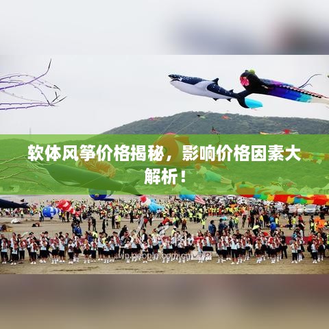 軟體風(fēng)箏價(jià)格揭秘，影響價(jià)格因素大解析！