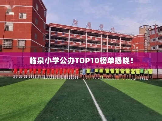 臨泉小學(xué)公辦TOP10榜單揭曉！
