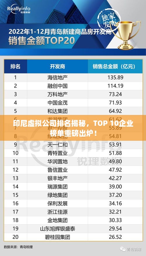 印尼虛擬公司排名揭秘，TOP 10企業(yè)榜單重磅出爐！