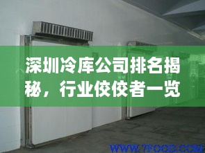 深圳冷庫公司排名揭秘，行業(yè)佼佼者一覽無余