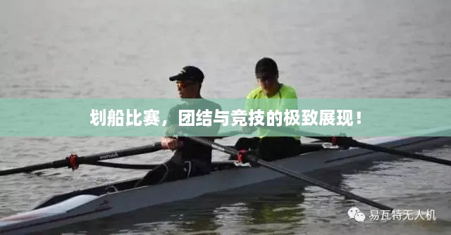 劃船比賽，團(tuán)結(jié)與競技的極致展現(xiàn)！
