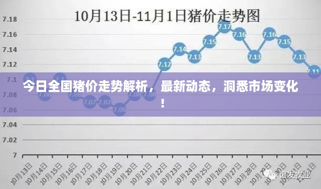 今日全國豬價走勢解析，最新動態(tài)，洞悉市場變化！