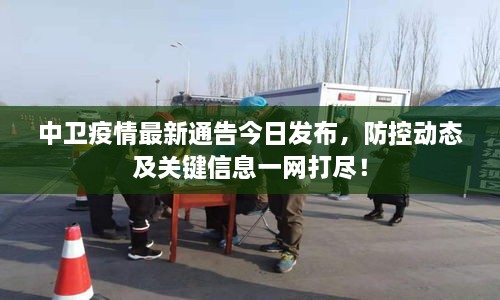 中衛(wèi)疫情最新通告今日發(fā)布，防控動態(tài)及關鍵信息一網(wǎng)打盡！