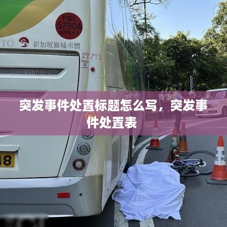 突發(fā)事件處置標題怎么寫，突發(fā)事件處置表 