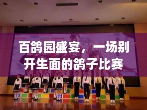 百鴿園盛宴，一場別開生面的鴿子比賽盛宴！