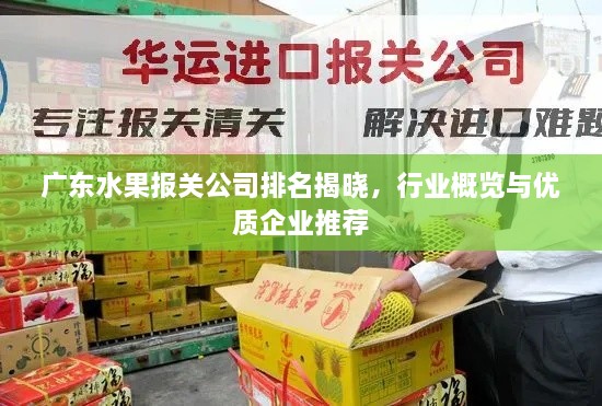 廣東水果報(bào)關(guān)公司排名揭曉，行業(yè)概覽與優(yōu)質(zhì)企業(yè)推薦