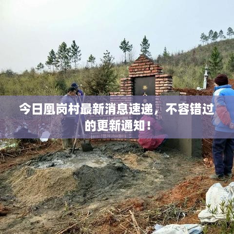 今日凰崗村最新消息速遞，不容錯(cuò)過的更新通知！