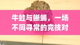 牛蛙與蜥蜴，一場不同尋常的競技對決