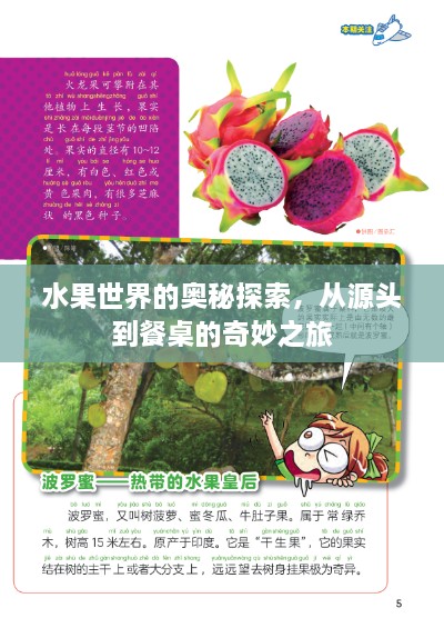 水果世界的奧秘探索，從源頭到餐桌的奇妙之旅