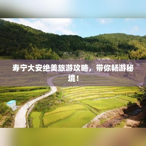 壽寧大安絕美旅游攻略，帶你暢游秘境！