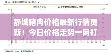 舒城豬肉價格最新行情更新！今日價格走勢一網(wǎng)打盡