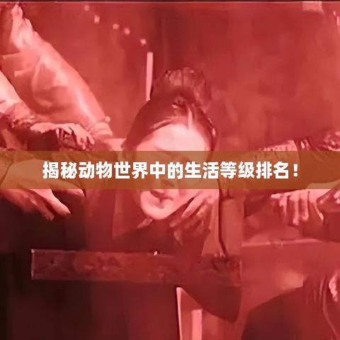 揭秘動(dòng)物世界中的生活等級(jí)排名！