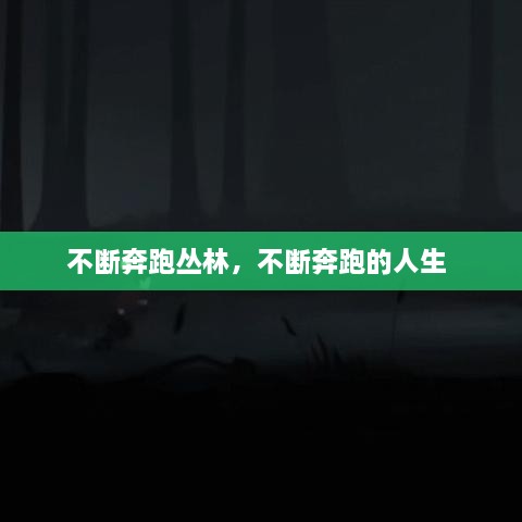 產(chǎn)品展示 第44頁