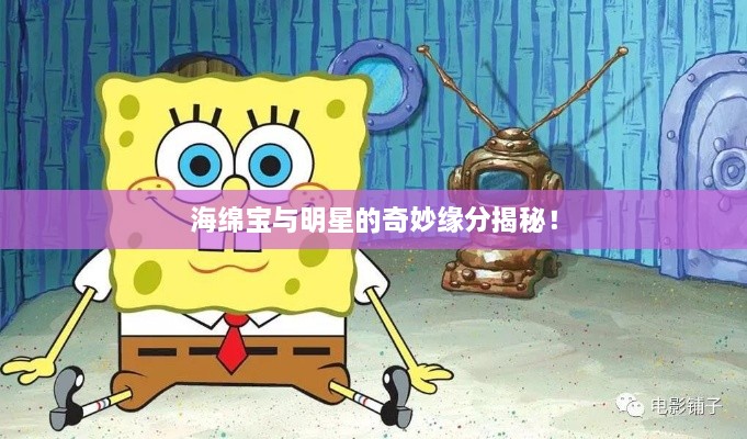 海綿寶與明星的奇妙緣分揭秘！