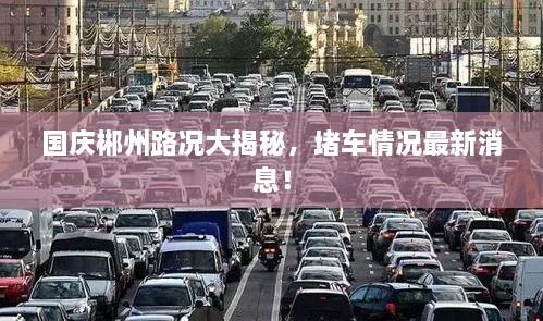 國慶郴州路況大揭秘，堵車情況最新消息！