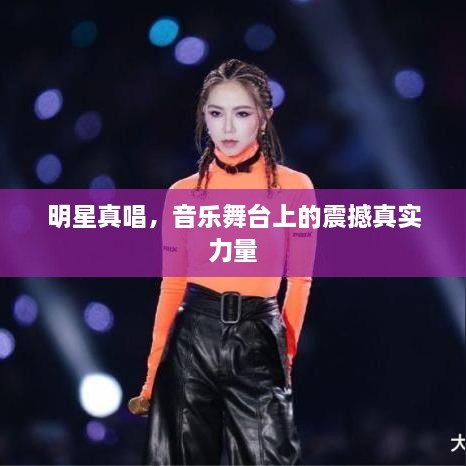 明星真唱，音樂舞臺(tái)上的震撼真實(shí)力量