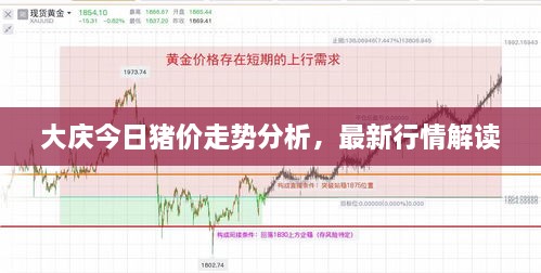 大慶今日豬價(jià)走勢(shì)分析，最新行情解讀