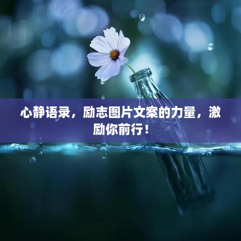 心靜語錄，勵志圖片文案的力量，激勵你前行！