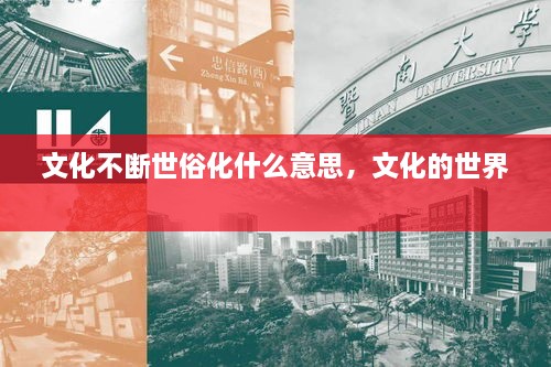 文化不斷世俗化什么意思，文化的世界 