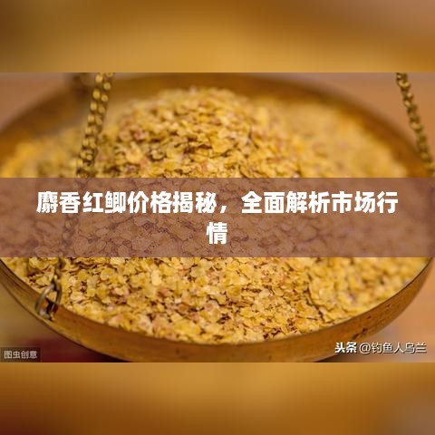 麝香紅鯽價格揭秘，全面解析市場行情