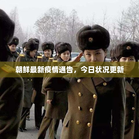 朝鮮最新疫情通告，今日狀況更新