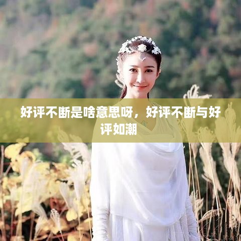 好評(píng)不斷是啥意思呀，好評(píng)不斷與好評(píng)如潮 