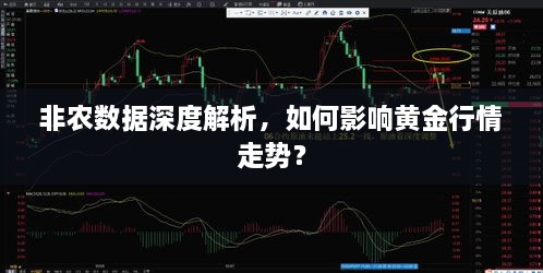 非農(nóng)數(shù)據(jù)深度解析，如何影響黃金行情走勢？