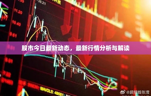 股市今日最新動態(tài)，最新行情分析與解讀