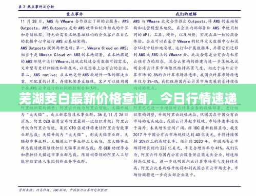 蕪湖茭白最新價格查詢，今日行情速遞