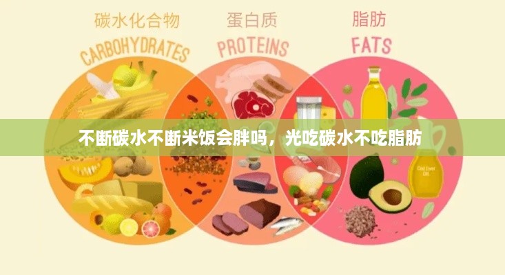 不斷碳水不斷米飯會胖嗎，光吃碳水不吃脂肪 