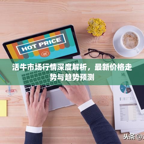 活牛市場行情深度解析，最新價格走勢與趨勢預測