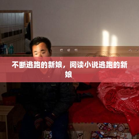 不斷逃跑的新娘，閱讀小說逃跑的新娘 