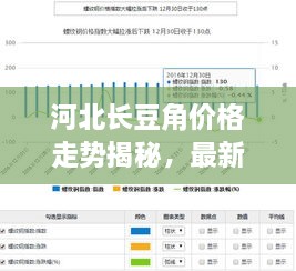 河北長(zhǎng)豆角價(jià)格走勢(shì)揭秘，最新行情分析報(bào)告！